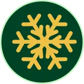 Frozen food category icon