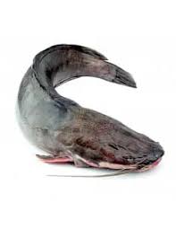 Bonifresh Cat Fish / Ngolo Large 500-800gm 4kg 